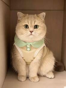 1 buah Rompi Polo Tipis Musim Panas untuk Kucing & Anjing, Rompi Anjing Lucu Ragdoll Golden Gradient British Shorthair, Anti-Rontok - Putih - View 11