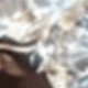 F1569