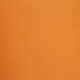 Coral Orange
