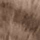 Light Gray Cat Pattern