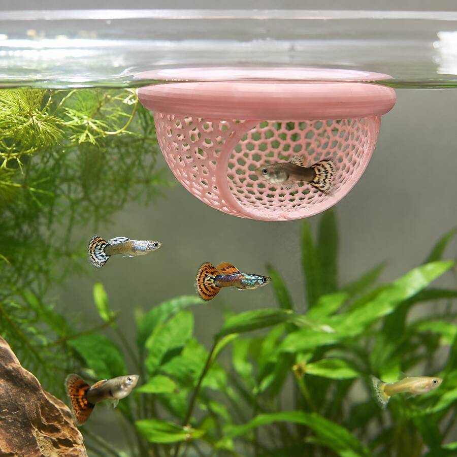 1个漂浮鱼屋,适用于斗鱼、孔雀鱼和金鱼,拱形入口,适合小型水族箱、陆生缸和池塘,节省空间,易于清洁,无需电源 - A - 查看 1