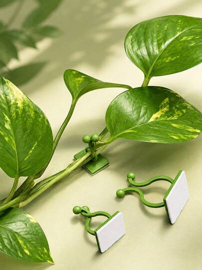 30/20/10pcs Plant Climbing Wall Clips, Green Vine Support Clips, Indoor Plant Fixing Hooks, Suitable For Pothos, Money Tree, Climbing Vines, Flower Pots, Garden Decor, Home Wall Plant Support And Gardening Supplies