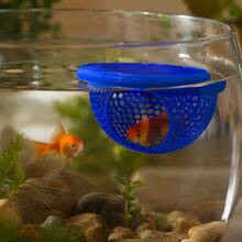 1pc Floating Fish House Suitable For Betta, Guppy And Goldfish, Arched Entrance, Fits Small Aquarium, Terrarium And Pond, Space-Saving, Easy To Clean, No Power Required - A - View 3