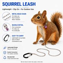 Small Pet Metal Bead Chain Leash, Lightweight Walking Lead, Suitable For Squirrels, Rabbits, Sugar Gliders And Other Small Animals Outdoor Travel - Multicolor - View 3