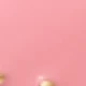 Pink Cat
