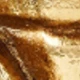 Dorado