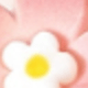 彩色