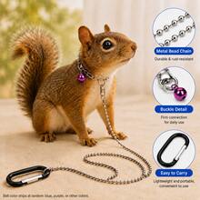 Small Pet Metal Bead Chain Leash, Lightweight Walking Lead, Suitable For Squirrels, Rabbits, Sugar Gliders And Other Small Animals Outdoor Travel - Multicolor - View 5