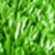 Artificial Grass 2*5m