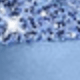 Dusty Blue