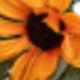 Autumn Vintage Rattan - Daisy Style*