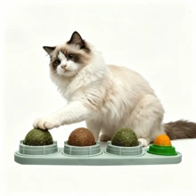 1 Piece 4-In-1 Rotatable Catnip Ball, Cleans Teeth And Expels Hairballs, Relieves Cats' Boredom, Resistant To Biting And Abrasion; Rotating Design Adds Fun To Playtime. - Random Color - View 6
