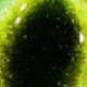 6 Colors Chameleon Cat Eye