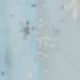 Azul-copo de nieve