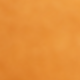 Burnt Orange