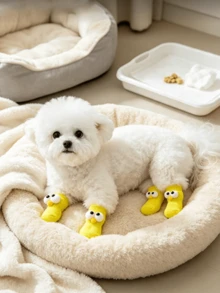 4 Pairs Cute Big Eye Dog Socks, Soft Knitted Paw Protection Socks, Wear-Resistant Non-Scratch Puppy Paw Covers, Warm Indoor Pet Socks, Suitable For Small Dogs, Prevent Licking, Pet Accessories - Multicolor - View 4