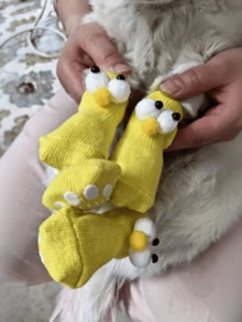4 Pairs Cute Big Eye Dog Socks, Soft Knitted Paw Protection Socks, Wear-Resistant Non-Scratch Puppy Paw Covers, Warm Indoor Pet Socks, Suitable For Small Dogs, Prevent Licking, Pet Accessories - Multicolor - View 11