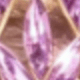 44023 Purple