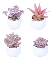 Preserved Flowers - 4pcs - View 8
