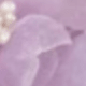 89939 Purple