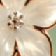 Flower Cross