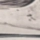 متعدد الألوان