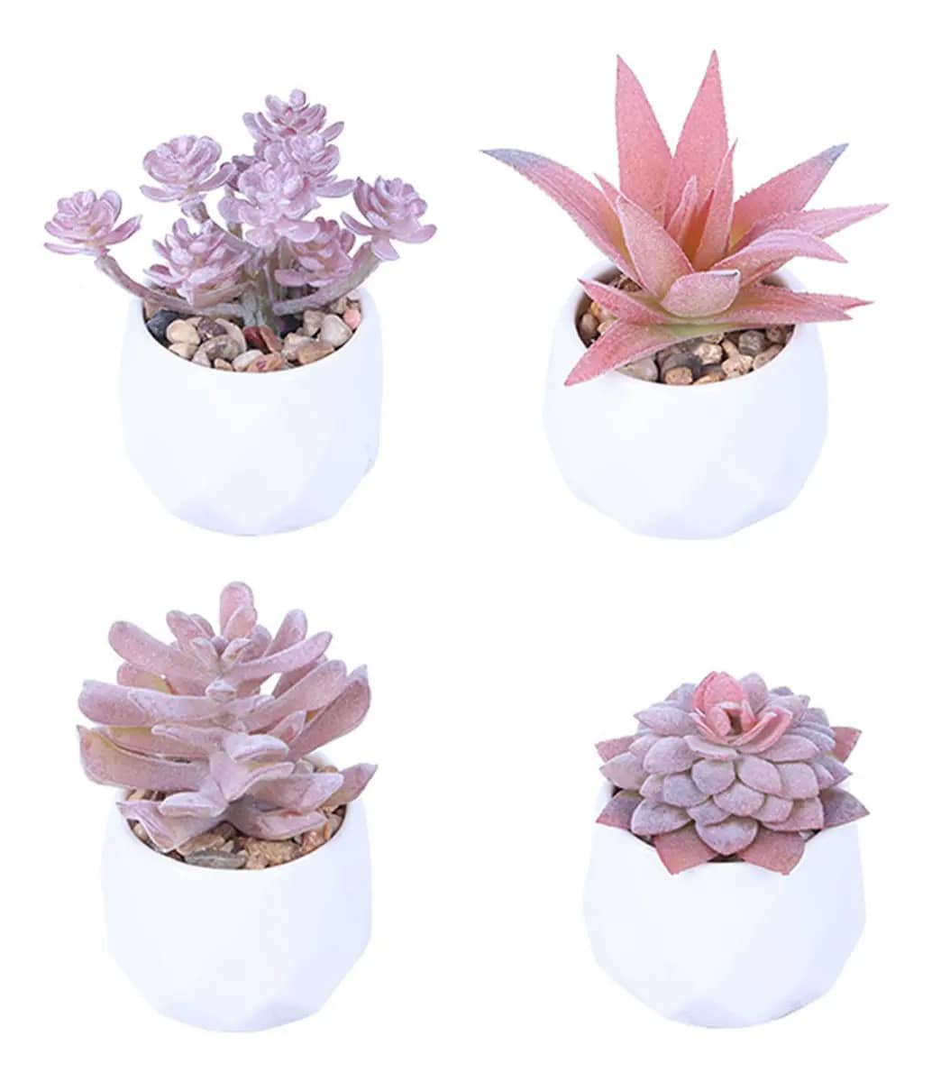 Preserved Flowers - 4pcs - View 1