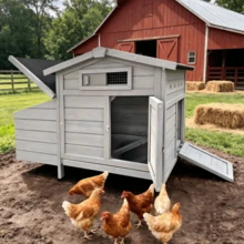 Raised  With Wooden Nesting Box That Protects Hens From Predators, Elevated Nest, Easy To Clean - 查看 8