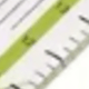 Rectangular Sewing Ruler