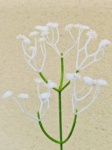1件可愛卡通笑臉花瓶，白色可愛家居裝飾擺件，寵物造型花瓶 - 大聲笑臉 - 查看 9