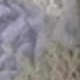 Lilac Purple