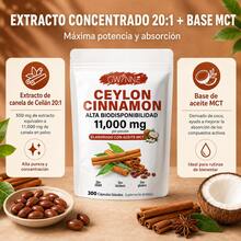 GWYNNE Ceylon Cinnamon con Aceite MCT,20:1 alta biodisponibilad 11000mg,Cinnamomum Verum Bark Extract,300 Capsules - 300 unidades - Ver 1
