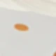 متعدد الألوان