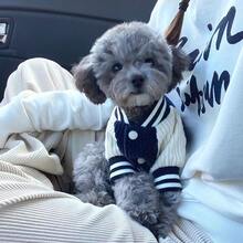 1pc Pet Ins Style Puppy Baseball Shirt, Fashionable Fun Pocket Pattern Embroidery Autumn/Winter Cat & Dog Universal Pet Clothing - Brown - View 2