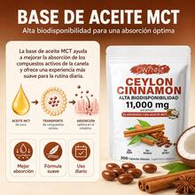 GWYNNE Ceylon Cinnamon con Aceite MCT,20:1 alta biodisponibilad 11000mg,Cinnamomum Verum Bark Extract,300 Capsules - 300 unidades - Ver 2