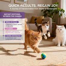2-In-1 Premium Cat Soothing Spray (60-Day Supply, Includes 2 Refills) Helps Relieve And Reduce Fighting, Spraying And Scratching, No Odor, - Does Not Include Heating Tip, Only Refills Of Soothing Solution. - Supplemental Fluid Kit - View 5