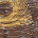 S50173-brown