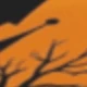 متعدد الألوان