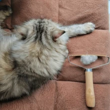Pet Hair Remover - Multi-Fabric And Carpet Hair Scraper, Deep Cleaning Hair Removal Tool, Suitable For Sofas, Carpets, Pet Towers And Furniture For Cats And Dogs - View 4
