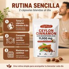 GWYNNE Ceylon Cinnamon con Aceite MCT,20:1 alta biodisponibilad 11000mg,Cinnamomum Verum Bark Extract,300 Capsules - 300 unidades - Ver 3