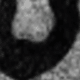 黑