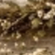 1pc 52x72cm