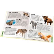 Libro 365 Animales Sorprendentes Pasta Dura 172 Paginas - Blanco - Ver 4