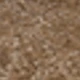 Dark Khaki