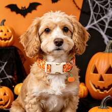 Elegant Small Tail Halloween Dog Collar, Pumpkin Print Autumn Pet Collar, Soft Puppy Collar, Cute Adjustable Holiday Collar - Orange - View 6