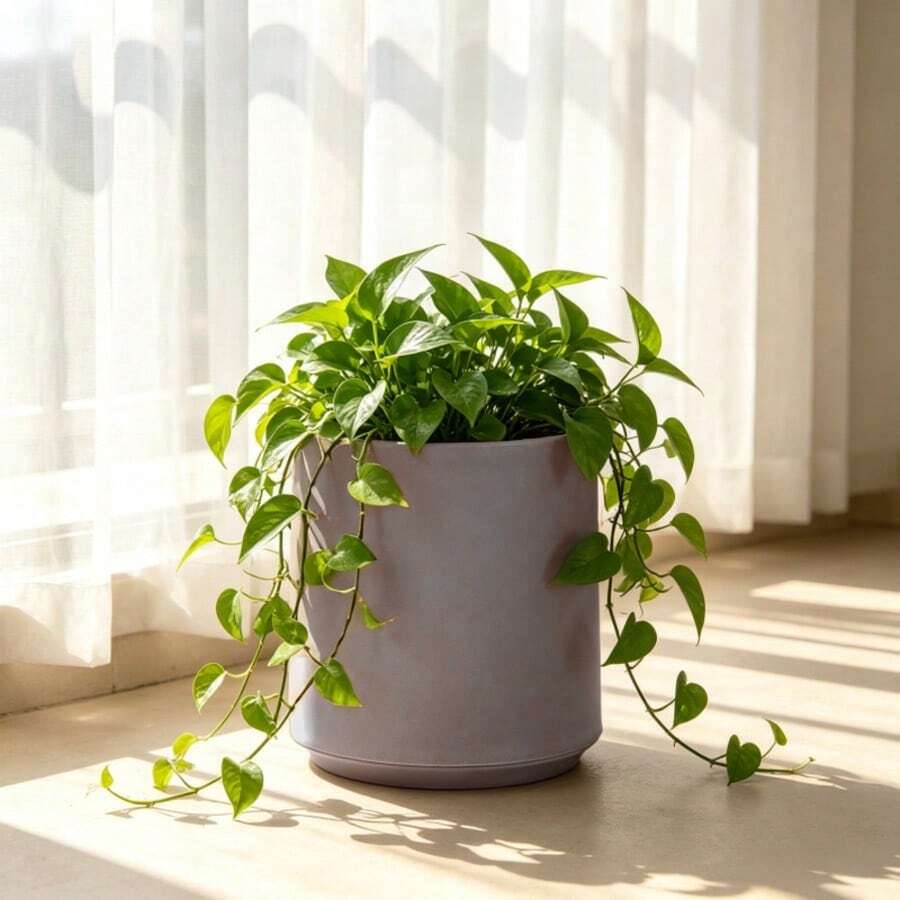 22cm Matte Cylindrical Plastic Flower Pot, Frosted Straight Pot For Succulents, Orchids And Green Plants, Home And Office Desktop Potted Plant Decoration - A - View 1