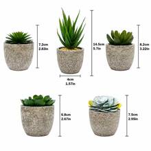 5 pièces Succulente artificielle en pot, petite plante en pot factice pour la décoration de la maison, la Saint-Valentin, les cadeaux - Multicolore - Voir 6