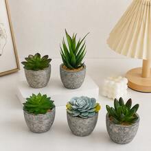 5 pièces Succulente artificielle en pot, petite plante en pot factice pour la décoration de la maison, la Saint-Valentin, les cadeaux - Multicolore - Voir 2