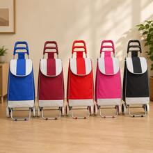 Shopping Bags And Cart - A - View 8