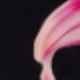彩色